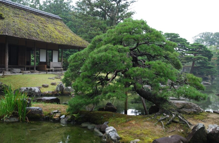 Japońskie ogrody – estetyka, filozofia i znaczenie dla mieszkańców