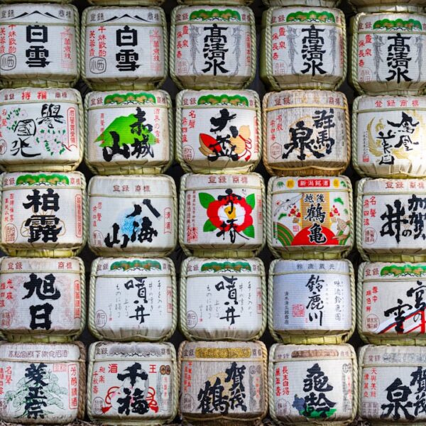 Tofu – sekrety produkcji i popularność w kuchni Dalekiego Wschodu